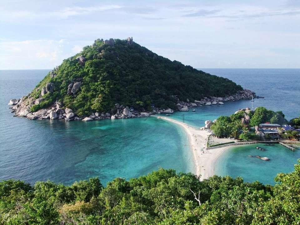 救援卡通老虎
